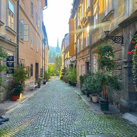 1Br Apartment On The Most Beautiful Street In Ljubljana Center Ngoại thất bức ảnh