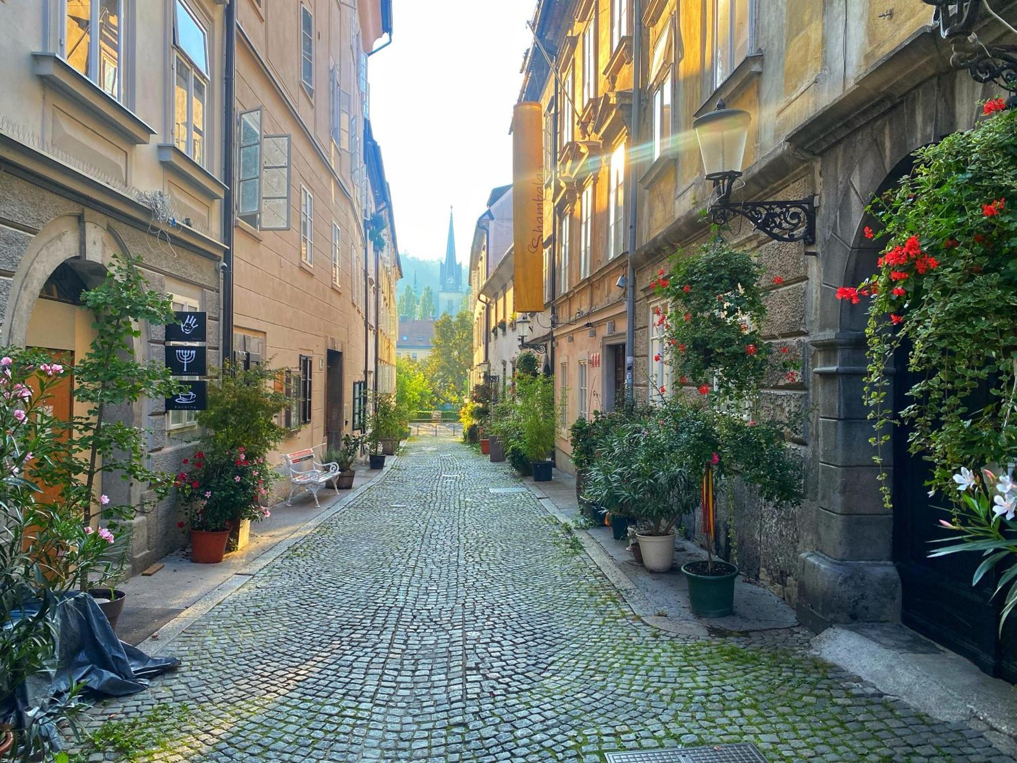 1Br Apartment On The Most Beautiful Street In Ljubljana Center Ngoại thất bức ảnh